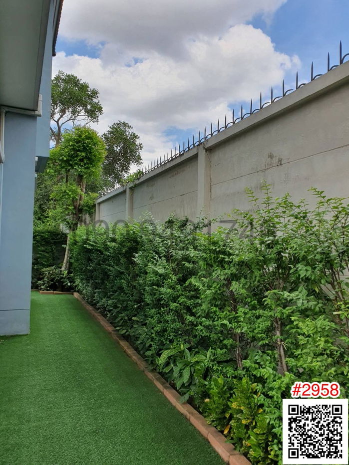 รูป เช่า บ้านเดี่ยว ไลฟ์ บางกอก บลูเลอวาร์ด รามอินทรา 65 แปลงหน้าสวน พร้อมอยู่ - รูปที่ 15/26