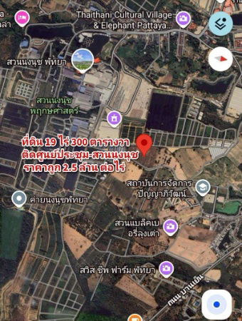 รูป ขายที่ติดสวนนงนุช พัทยา ใกล้ทะเลนาจอมเทียน แปลงสวย ทำเลดีมาก - รูปที่ 4/4