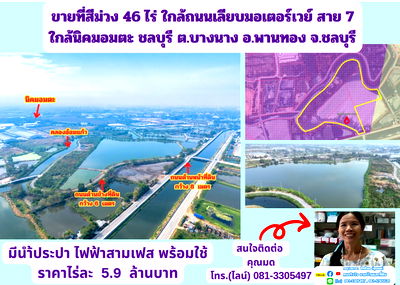 ที่ดิน อมตะนคร : ขายที่สีม่วง 46 ไร่ ใกล้ถนนเลียบมอเตอร์เวย์ สาย 7 ใกล้นิคมอมตะ ชลบุรี  ต.บางนาง อ.พานทอง จ.ชลบุรี