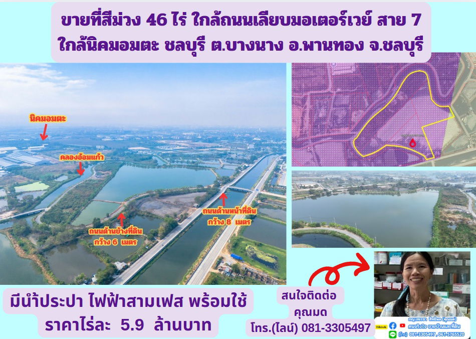 รูป ขายที่สีม่วง 46 ไร่ ใกล้ถนนเลียบมอเตอร์เวย์ สาย 7 ใกล้นิคมอมตะ ชลบุรี  ต.บางนาง อ.พานทอง จ.ชลบุรี - รูปที่ 1/7