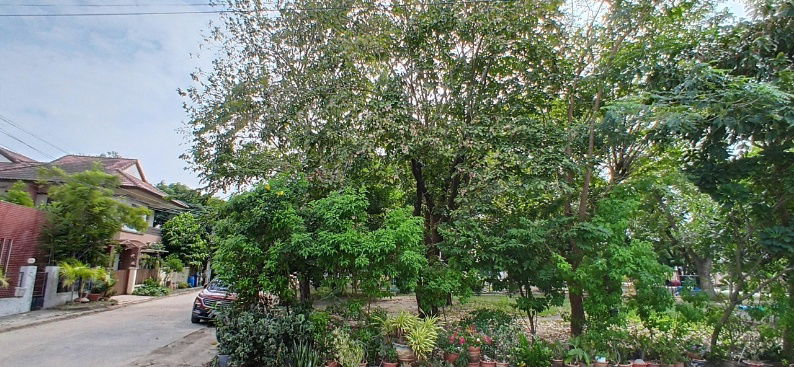 รูป หลังมุม5นอนขายบ้านเดี่ยวสินบดีบางบัวทอง ต่อเติมครบ ในซอยกรมที่ดินบางบัวทอง - รูปที่ 7/19