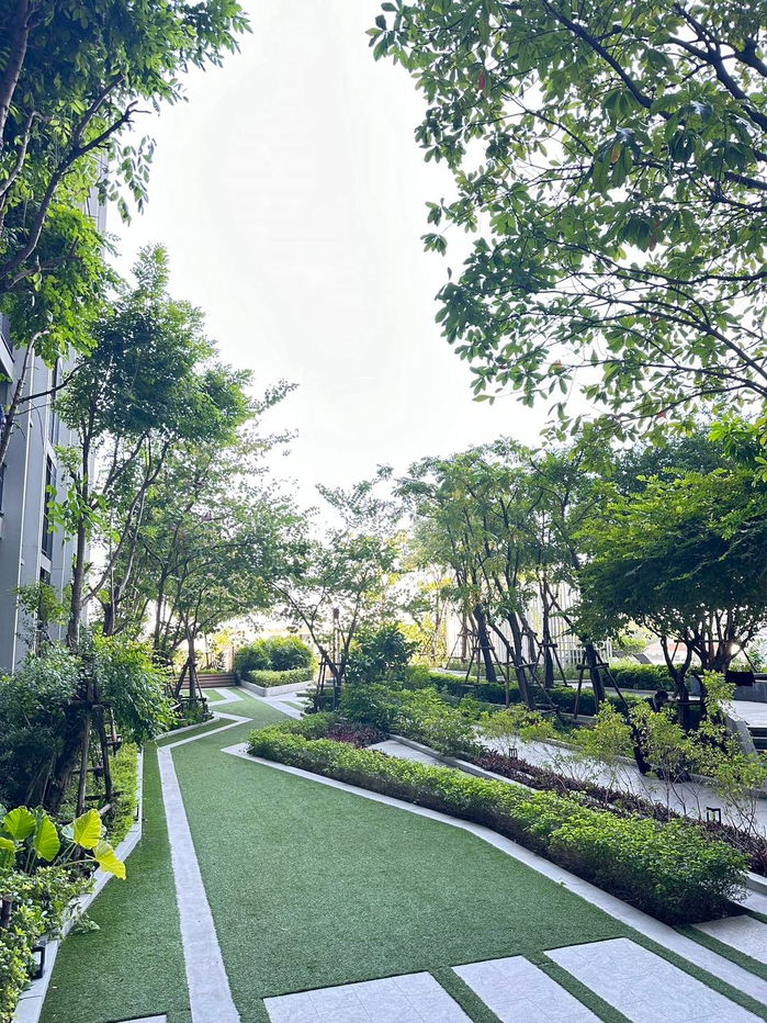 รูป 🥝🥝  (  ห้องว่าง )   ให้เช่า คอนโด เดอะ พาร์คแลนด์  เพชรเกษม  56  🥝🥝 ขนาด  34.5  ตร.ม  ชั้น  5    ตกแต่งครบ  พร้อมเข้าอยู่ - รูปที่ 14/18