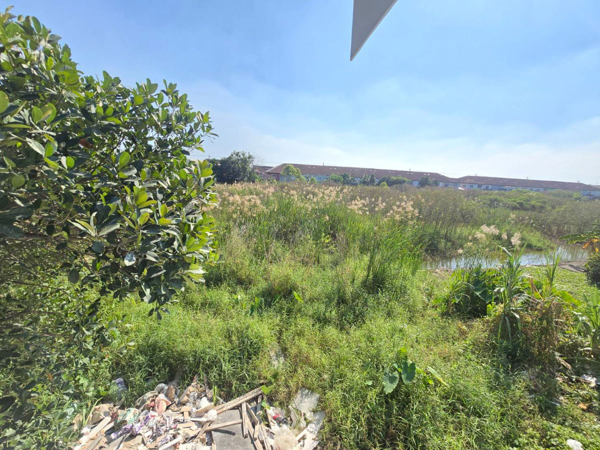 รูป ทาวน์เฮ้าส์2ชั้น รีโนเวทใหม่ ทำเลดี ใกล้สนามบินสุวรรณภูมิ หมู่บ้าน รุ่งนภาเพลส ซอยร่มเกล้า16 มีนบุรี - รูปที่ 28/33