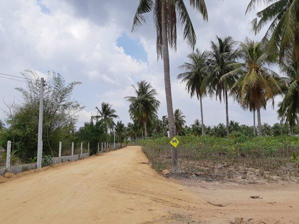 picture Huay Yai Land for Sale - 7/7