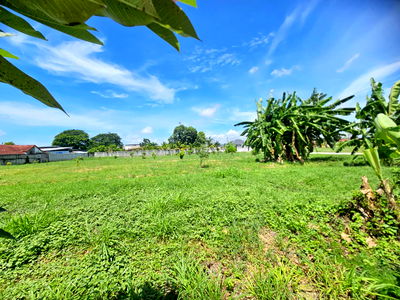 ที่ดิน ชลบุรี : ขายที่ดินพัทยาตะวันออก