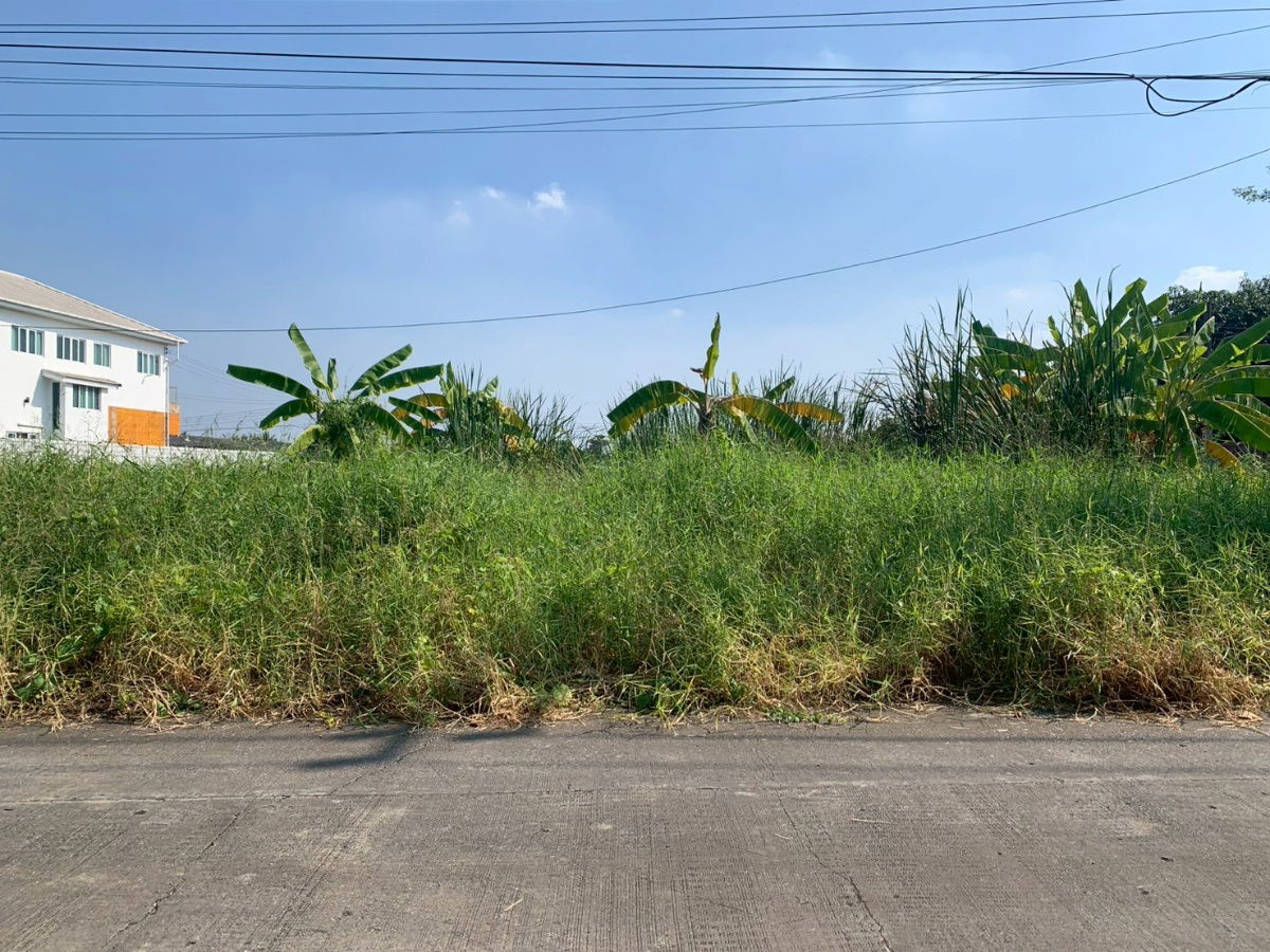 รูป ขายที่ดินแปลงสวย 100 ตร.ว. ซอยสวนสยาม 24 แปลงหัวมุม - รูปที่ 5/11