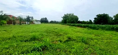 ที่ดิน ชลบุรี : ขายที่ดินใกล้สนามกอล์ฟฟีนิกซ์ ห้วยใหญ่