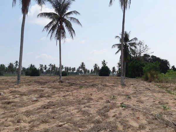 picture Huay Yai Land for Sale - 2/7