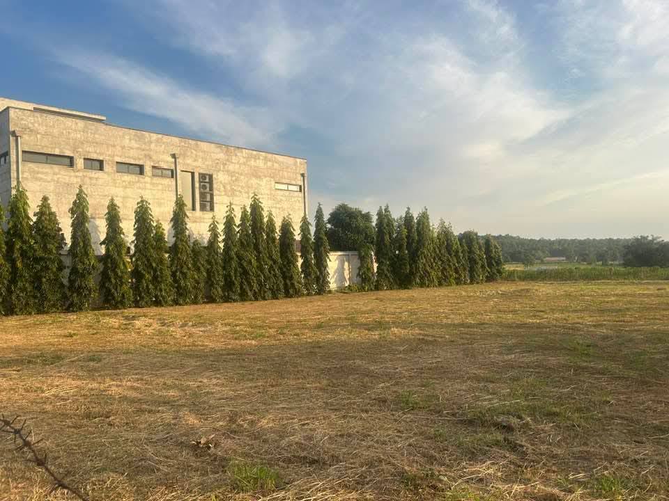 รูป ขายที่ดินในทะเลสาบมาบประชัน พัทยา - รูปที่ 2/5