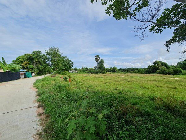 picture 1 Rai Land plot for Sale in Huay Yai - 3/3