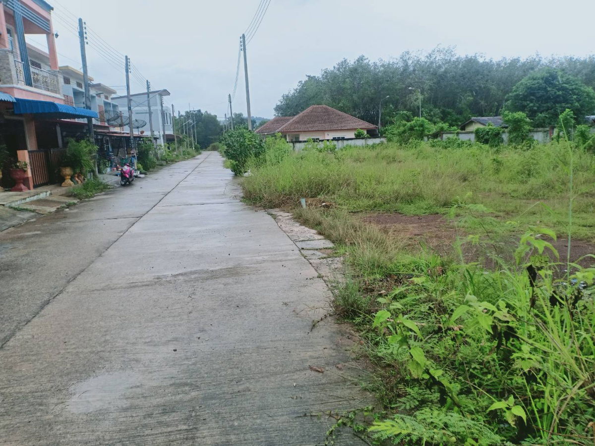 รูป หมู่บ้านน้ำไม่ท่วม-ขายที่ดิน อ.ควนเนียง จ.สงขลา 70 ตารางวา ติดอำเภอควนเนียง - รูปที่ 2/4