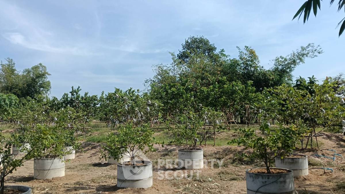 รูป ที่ดินสำหรับปล่อยขาย 7,128 ตารางเมตร แถว ใกล้ ห้วยใหญ่ (ID 2463152) - รูปที่ 13/18