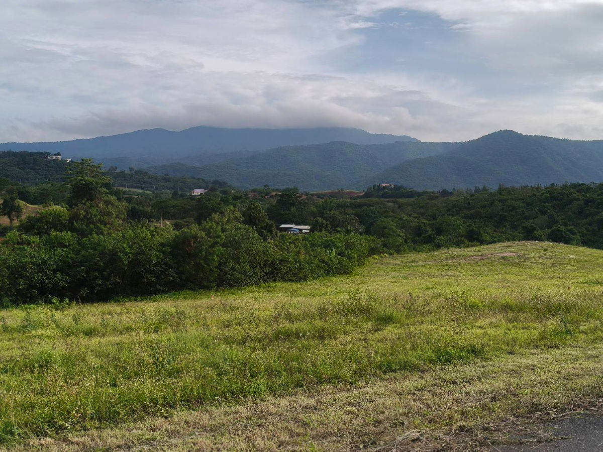 รูป ขายที่บนเนินเขาใหญ่ โป่งตาลอง ปากช่อง ที่สูงบนเนิน 3.5 ไร่ วิวเขาใหญ่สวย อากาศบริสุทธิ์ ใกล้เส้น 3052 Toscana พระตำหนักทิพย์พิมาน 087-9074045 - รูปที่ 3/3