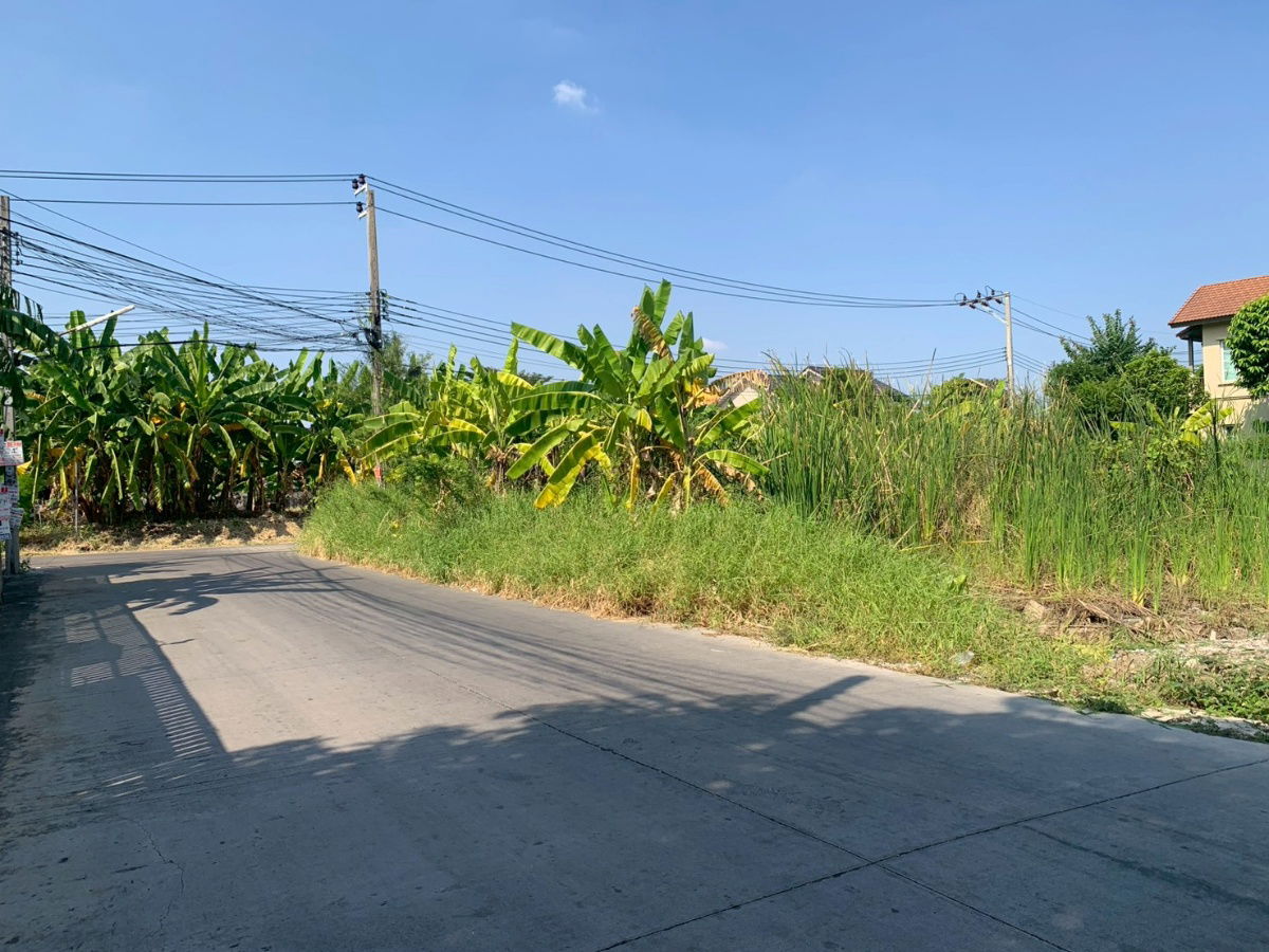 รูป ขายที่ดินแปลงสวย 100 ตร.ว. ซอยสวนสยาม 24 แปลงหัวมุม - รูปที่ 9/11