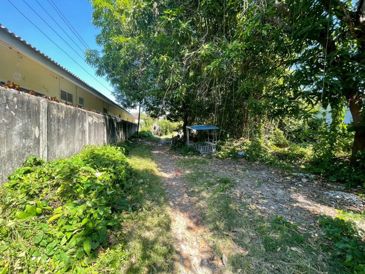 picture ✨ Land for Sale – Soi Ti Lek, Nai Mueang, Korat | 243 sq.wah | Prime City Location – Rare Find! - 3/5