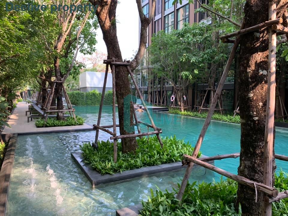 รูป DL012282 ให้เช่าคอนโด วีธารา สุขุมวิท 36 (Vtara Sukhumvit 36) ใกล้ BTS ทองหล่อ พร้อมเข้าอยู่ โทรด่วน 0800343450 LineID @655ebbvc - รูปที่ 8/12