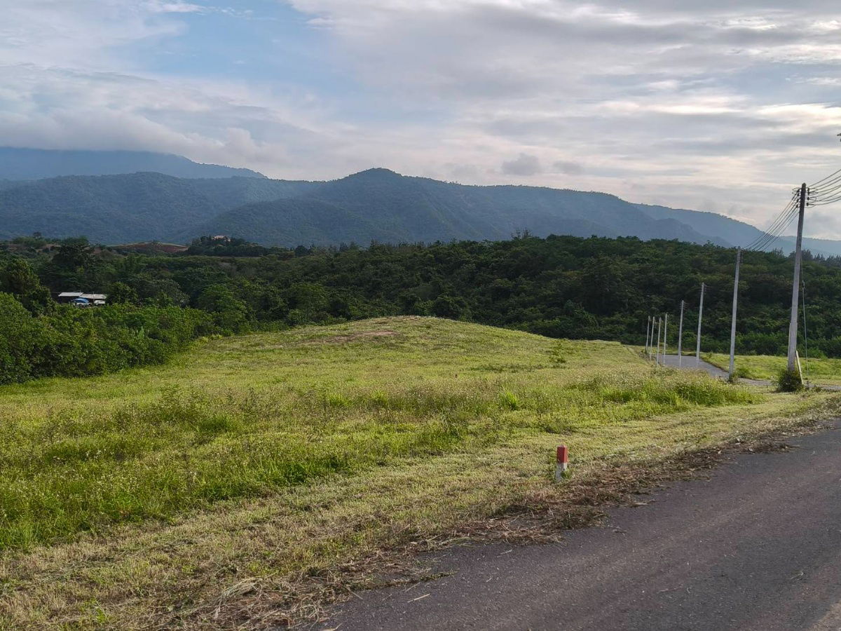 รูป ขายที่บนเนินเขาใหญ่ โป่งตาลอง ปากช่อง ที่สูงบนเนิน 3.5 ไร่ วิวเขาใหญ่สวย อากาศบริสุทธิ์ ใกล้เส้น 3052 Toscana พระตำหนักทิพย์พิมาน 087-9074045 - รูปที่ 2/3