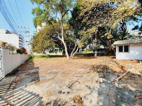 ขายที่ดินบนเขาพระตำหนัก