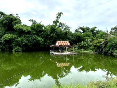 ที่ดิน ชลบุรี : ขายที่ดินเปล่าแปลงใหญ่ ในบางเสร่