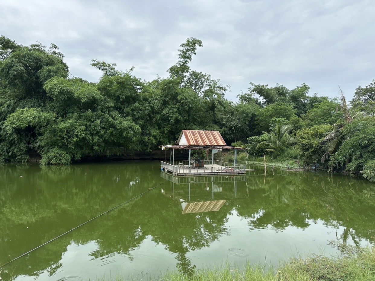 รูป ขายที่ดินเปล่าแปลงใหญ่ ในบางเสร่ - รูปที่ 1/3