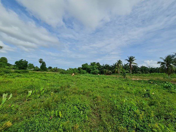 picture Large Land plot for Sale in Huay Yai - 3/7