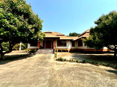 เช่าบ้านเดี่ยว ม.แม่โจ้ : บ้านว่างให้เช่า เชียงใหม่ 4 ห้องนอน สามารถเลี้ยงสัตว์ได้ Built-in ครบชุด เช่า 36,000 บาท