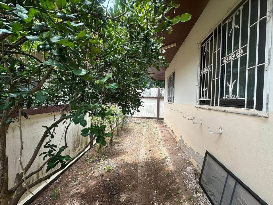 picture House for Sale – Na jomtien, Sattahip - 12/13