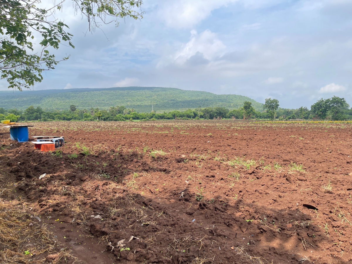 รูป ขายที่ดินโฉนด (เจ้าของขายเอง) ติดถนนสุรนารายณ์ ขาเข้า อ.โคกสำโคกสำโรง จ.ลพบุรี ที่ดินอยู่ฝั่งตรงข้ามวัดเขาจรเข้ - รูปที่ 2/6