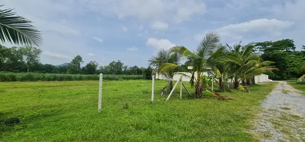 รูป ขายที่ดินใกล้สนามกอล์ฟฟีนิกซ์ ห้วยใหญ่ - รูปที่ 3/6