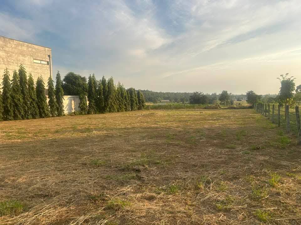 รูป ขายที่ดินในทะเลสาบมาบประชัน พัทยา - รูปที่ 4/5