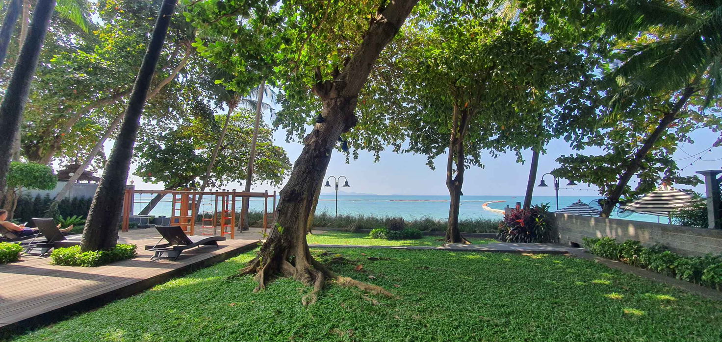 picture Zire Wongamat Studio for Rent - 5/6