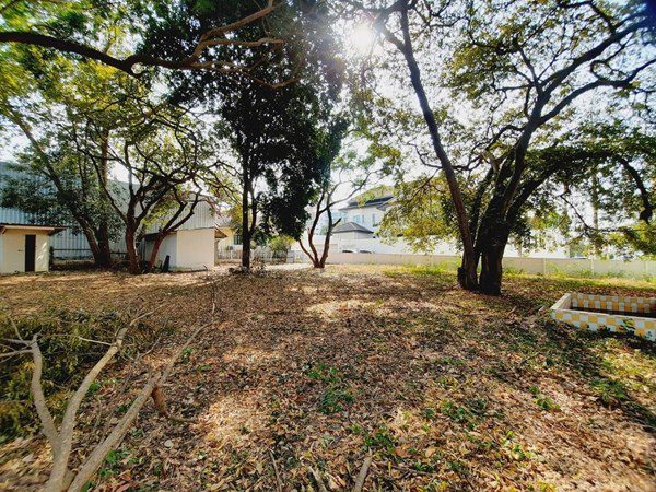 รูป ขายที่ดินบนเขาพระตำหนัก - รูปที่ 5/9