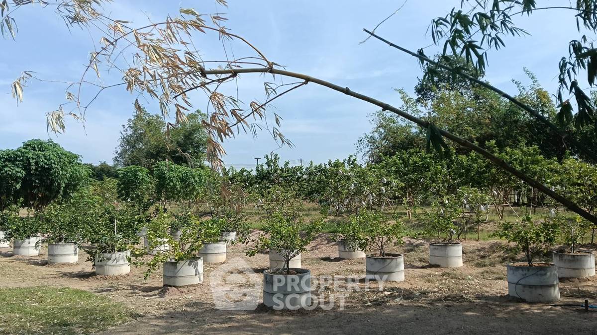 รูป ที่ดินสำหรับปล่อยขาย 7,128 ตารางเมตร แถว ใกล้ ห้วยใหญ่ (ID 2463152) - รูปที่ 15/18