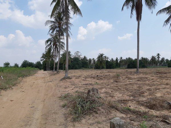 picture Huay Yai Land for Sale - 3/7