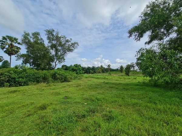 picture Large Land plot for Sale in Huay Yai - 6/7