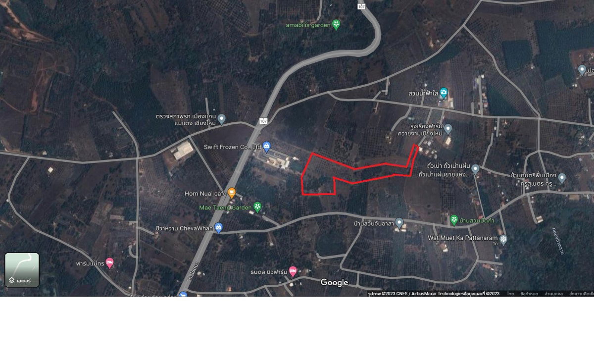 รูป ขายที่ดินสวนลำไย แม่แตง เชียงใหม่ ราคาถูก น้ำไม่เคยท่วม - รูปที่ 7/7