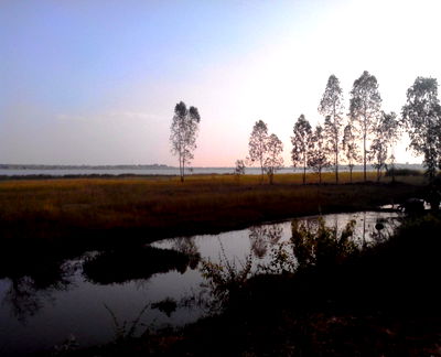 ที่ดิน ทุ่งฝน อุดรธานี : ขายที่ดินแปลงใหญ่ วิวธรรมชาติ เงียบสงบ อุดรธานี (LSS-670)