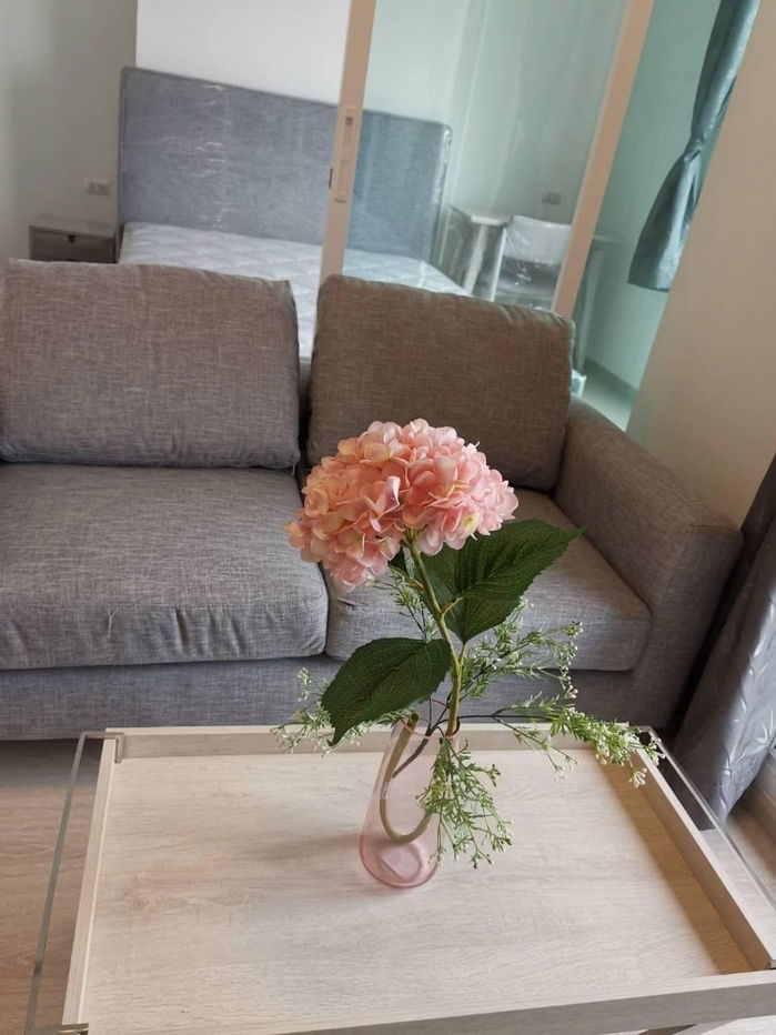 picture For rent Ready to move in please call us - 12/12