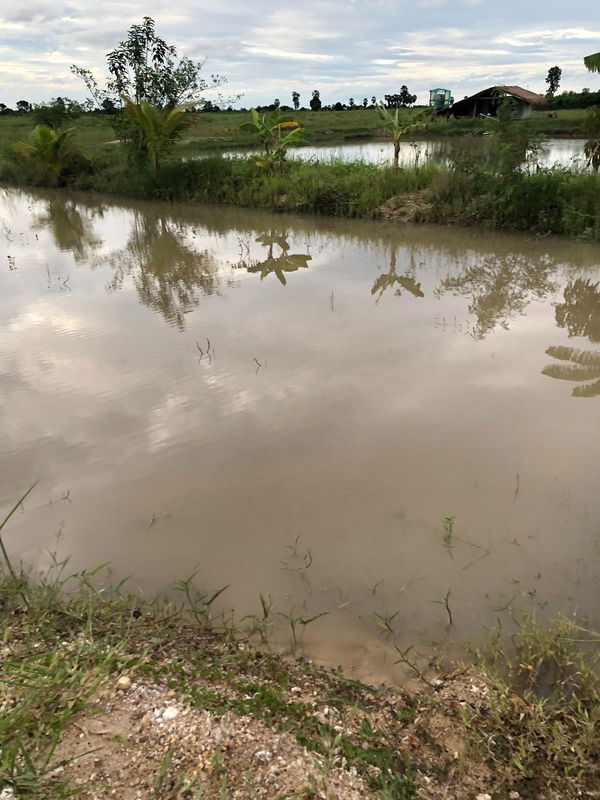 รูป ✨ ขายที่ดินเปล่า 20 ไร่ เลาขวัญ – กาญจนบุรี | เหมาะทำเกษตรกรรม | มีบ่อน้ำ | ราคาต่อรองได้ - รูปที่ 4/5