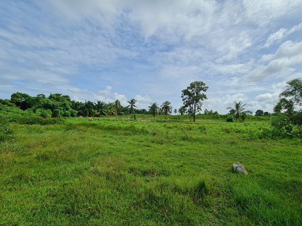 picture Large Land plot for Sale in Huay Yai - 5/7
