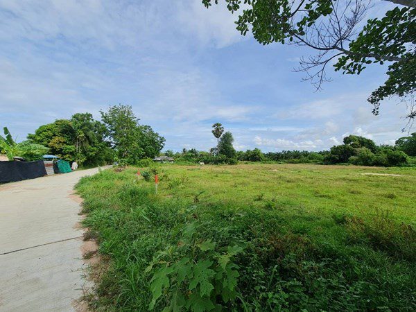 picture Large Land plot for Sale in Huay Yai - 4/7