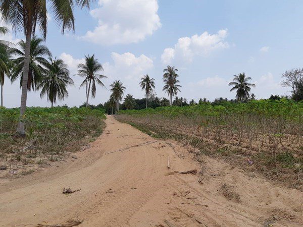 picture Huay Yai Land for Sale - 5/7