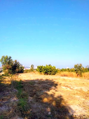 ที่ดิน ชลบุรี : ขายที่ดิน – เขาตาโล พัทยา