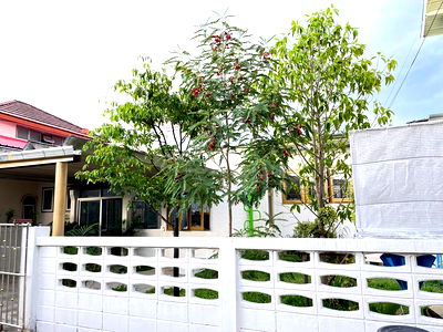 บ้านเดี่ยว อาคารจัสมิน : ขาย ซื้อ บ้านเดี่ยว ติวานนท์ ซอยติวานนท์52 ราคาถูก สนใจ Line: @951qfbfi