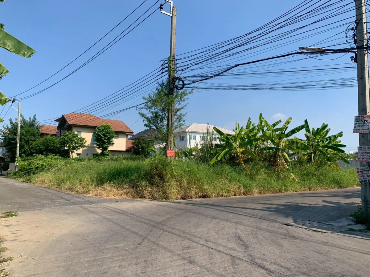 รูป ขายที่ดินแปลงสวย 100 ตร.ว. ซอยสวนสยาม 24 แปลงหัวมุม - รูปที่ 6/11