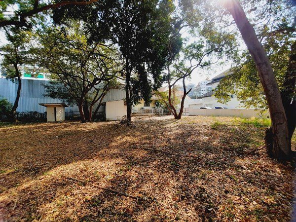 รูป ขายที่ดินบนเขาพระตำหนัก - รูปที่ 2/9