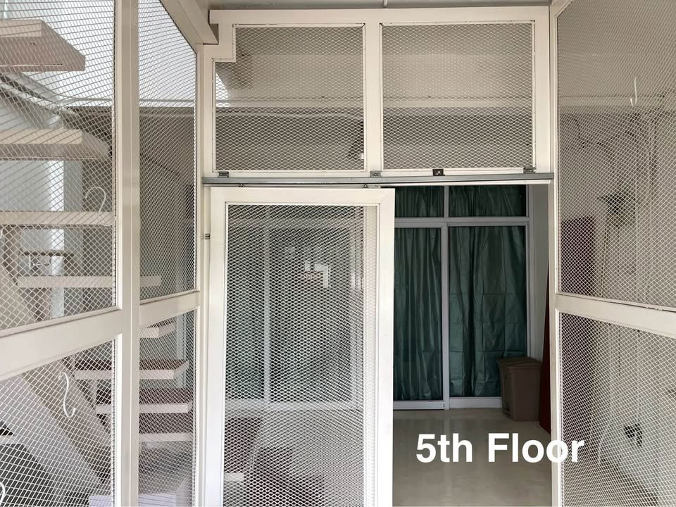 รูป HR3078ให้เช่าอาคาร 6 ชั้น ย่านเอกมัย ทำเลศักยภาพ เหมาะทำออฟฟิศ คลินิก สตูดิโอ Co-Working Space อยู่อาศัย - รูปที่ 11/12