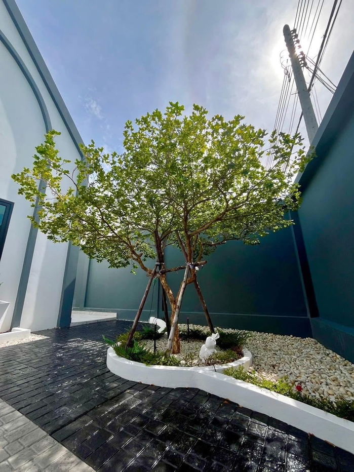 รูป ขายพูลวิลล่า 3 ห้องนอนในพัทยาตะวันออก - รูปที่ 10/10