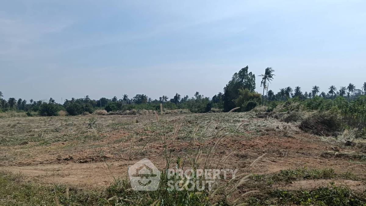 รูป ที่ดินสำหรับปล่อยขาย 8,812 ตารางเมตร แถว ใกล้ เมืองพัทยา (ID 2463125) - รูปที่ 4/7