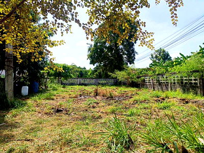 ที่ดิน ชลบุรี : ขายที่ดิน – นาเกลือ พัทยา